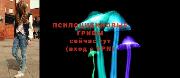 ешки Богородск