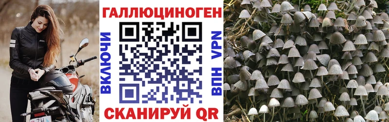 наркотики  Кола  Псилоцибиновые грибы ЛСД 
