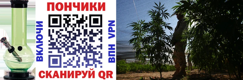 Марихуана OG Kush  даркнет сайт  KRAKEN рабочий сайт  Кола 